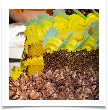 03 Cakes  - Carol Sparkes